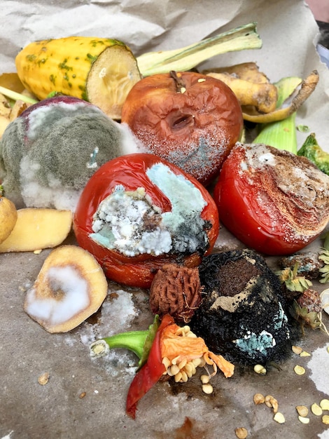 Visão de alto ângulo dos alimentos