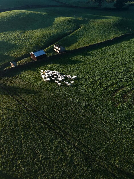 Foto visão de campo em alto ângulo