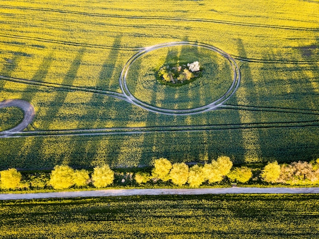 Foto visão de campo em alto ângulo