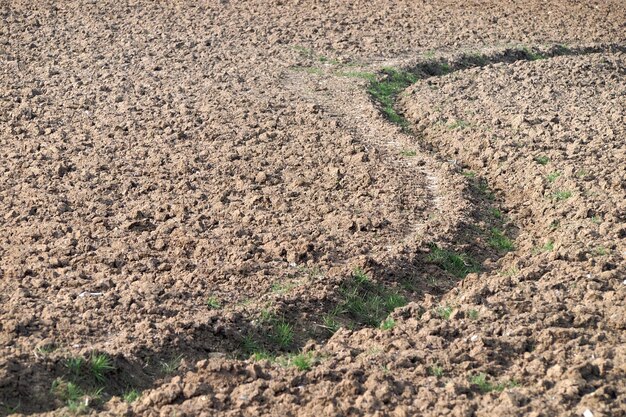 Foto visão de campo em alto ângulo