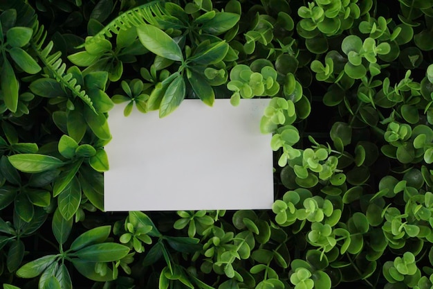 Foto visão em alto ângulo do texto na fábrica de papel