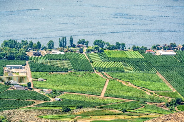 Visão geral da paisagem com fazendeiros pousam no lago okanagan no dia de verão