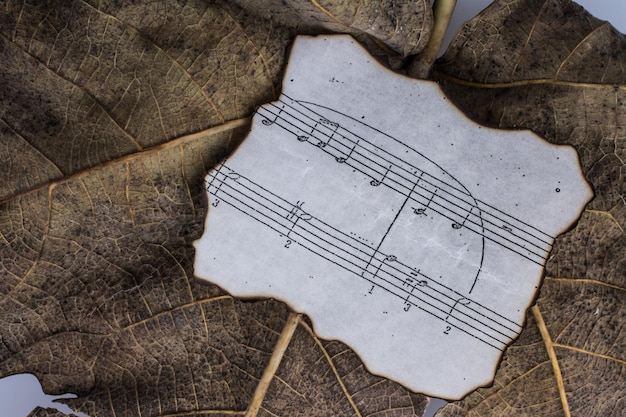 Visão macro de uma folha seca com papel com notas musicais da temporada de outono