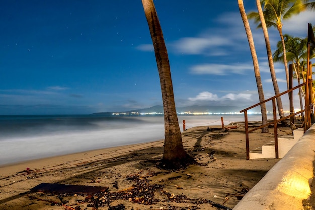 Visão noturna do mar com stais e palmeiras