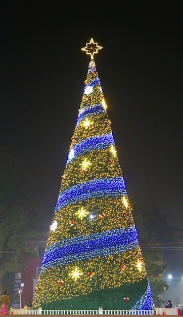 Visão noturna festiva e decorada da árvore de Natal vertical