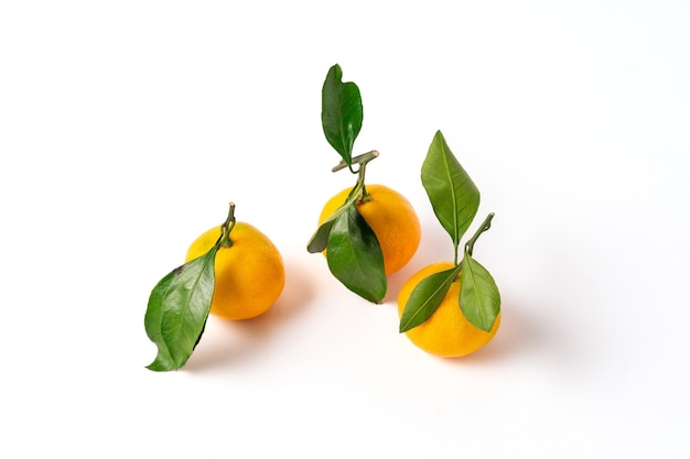 Visão plana leiga de laranja mandarinas maduras ou frutos de tangerinas com folhas verdes, isoladas no fundo branco e espaço de cópia.