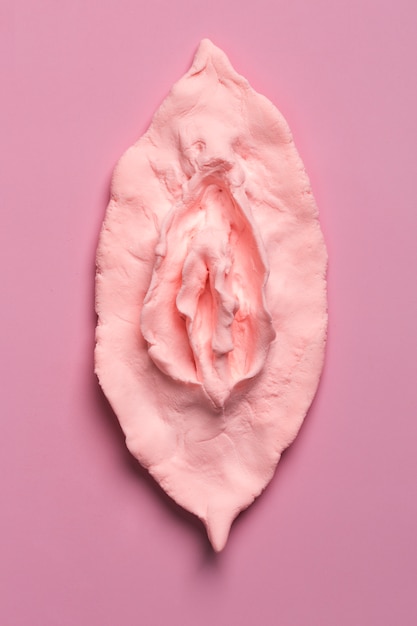 Foto visão superior do conceito do sistema reprodutivo feminino