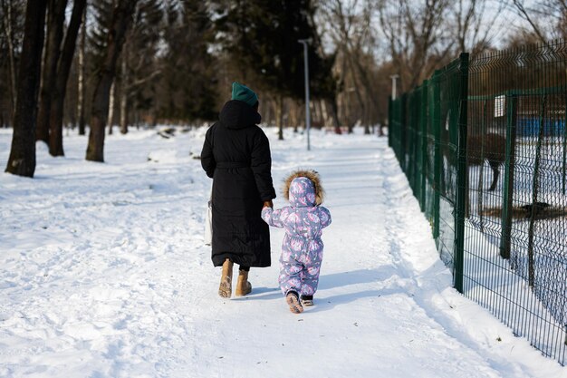 Visão traseira de mãe e filho caminhando em um dia ensolarado e gelado de inverno no parque perto do zoológico ao ar livre com lhama