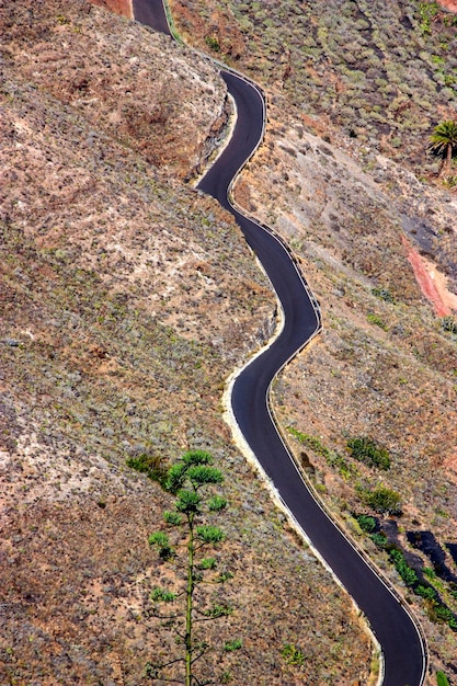 Foto visión de ángulo alto de la curva en la carretera