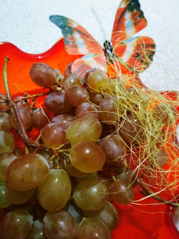 Foto visión en ángulo alto de las frutas
