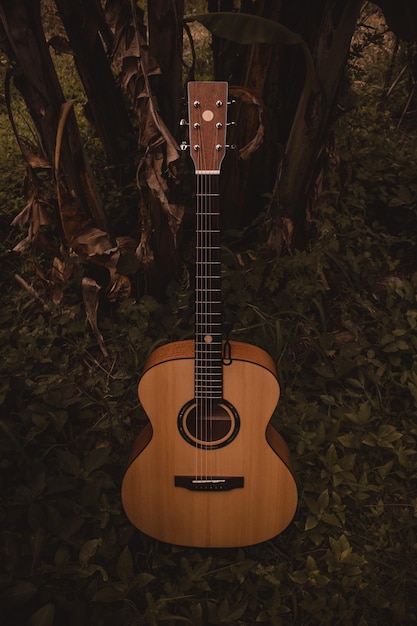 Foto visión en ángulo alto de la guitarra