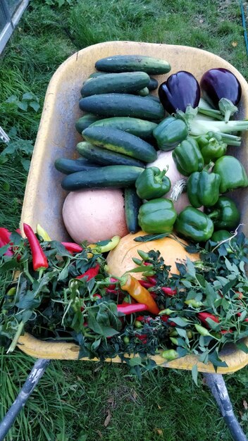 Foto visión en ángulo alto de las verduras