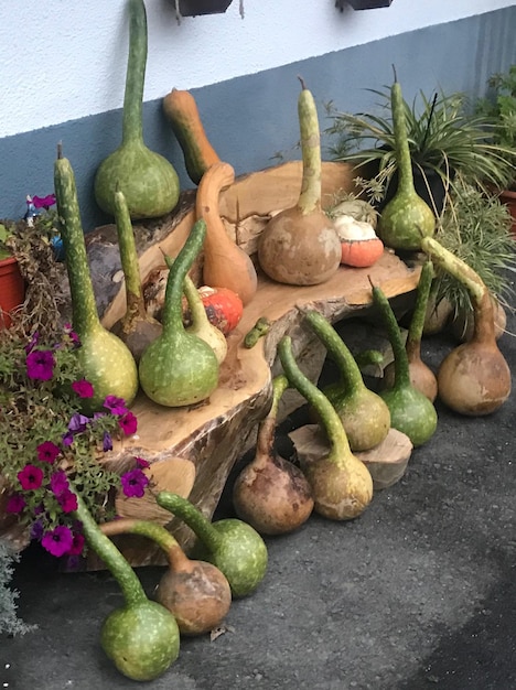 Visión en ángulo alto de las verduras