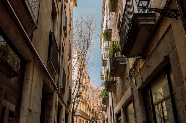 Foto visión en bajo ángulo de edificios residenciales