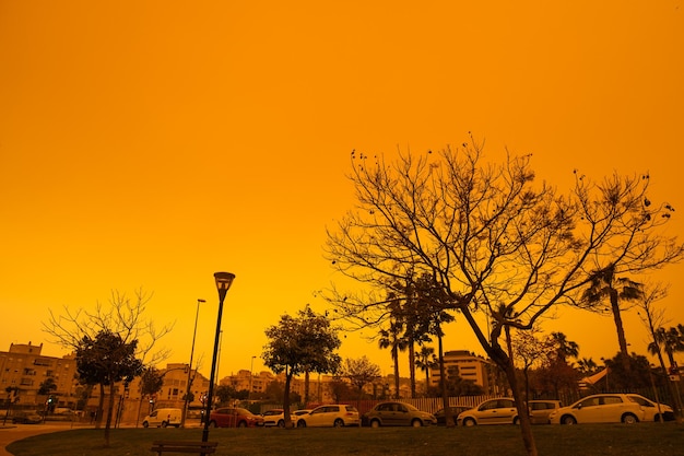 Visión apocalíptica del cielo embarrado en Málaga por la llegada de la niebla sahariana sin filtro