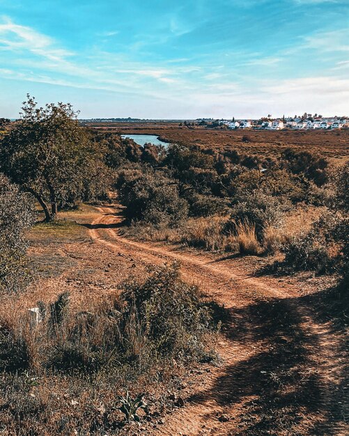 Foto visión de la ciudad de tavira