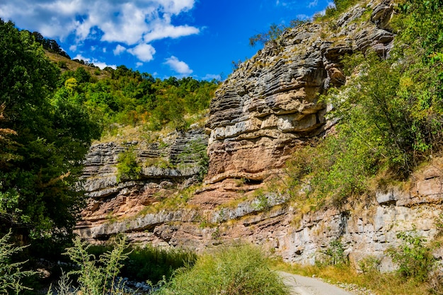 Visión en la garganta del río de Boljetin en el este de Serbia