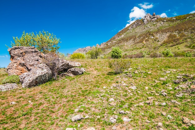 Vista de los acantilados rocosos y el valle cubierto de hierba