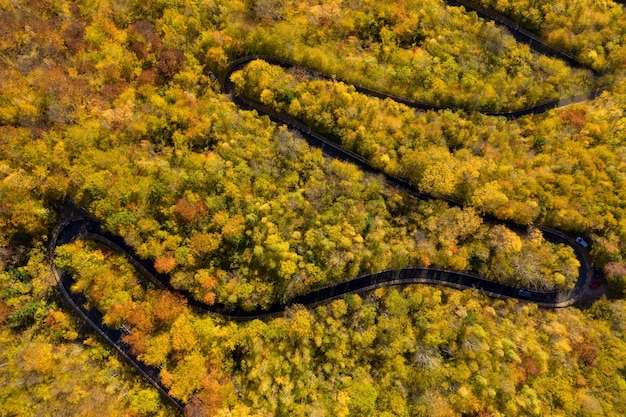 Vista aérea acima da estrada sinuosa da floresta de outono