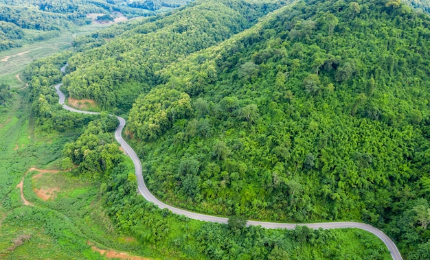Vista aérea acima da floresta de montanha verde na estação das chuvas e estrada curva na colina conectando o campo