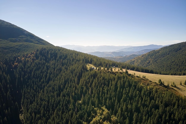 Vista aérea de altas colinas con pinos oscuros en el brillante día de otoño Increíble paisaje de bosques de montaña salvaje