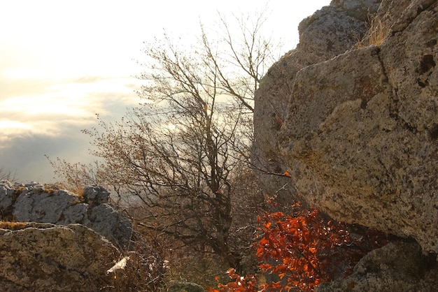 Vista aérea del amanecer en las montañas con reflejo naranja en las nubes del cielo primer plano de las rocas