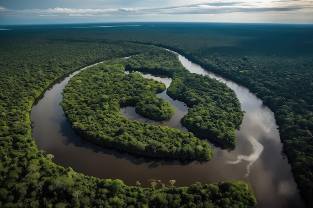 Vista aérea de las amazonas que muestra el paisaje exuberante y diverso con ríos sinuosos