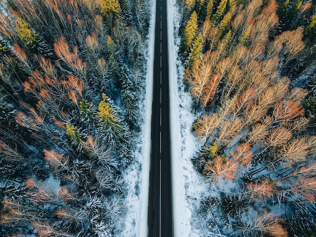 Vista aérea de árboles cubiertos de nieve en el bosque y el camino vacío del país invernal
