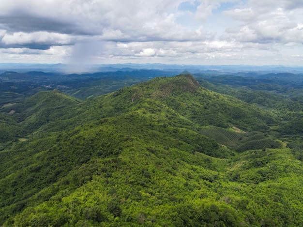 Vista aérea árboles forestales fondo selva naturaleza árbol verde en la cima de la montaña vista bosque colina paisaje paisaje del río en el sudeste asiático tropical salvaje