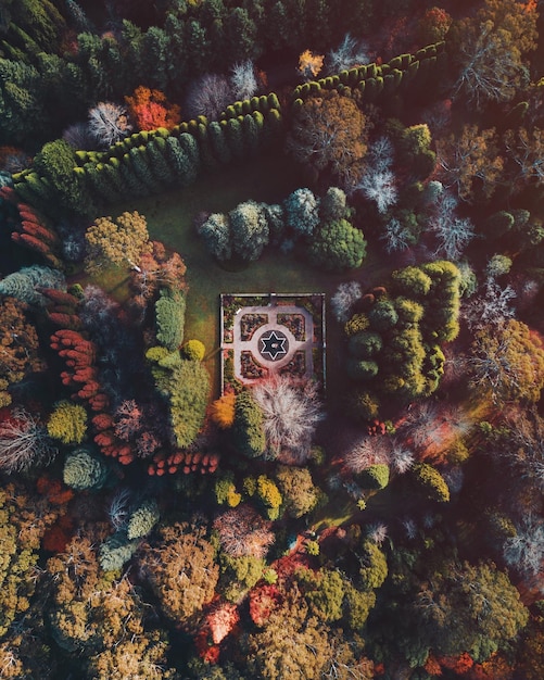 Vista aérea de los árboles en tierra