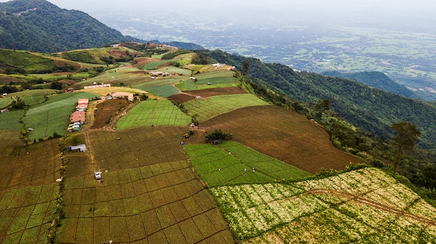 Una vista aérea del área agrícola.