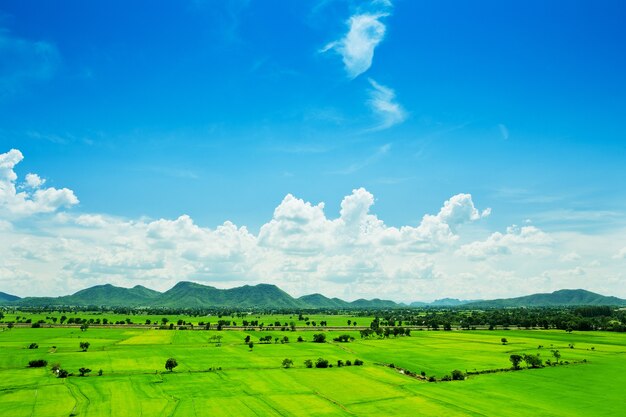 Vista aérea de un área rural verde bajo el cielo azul