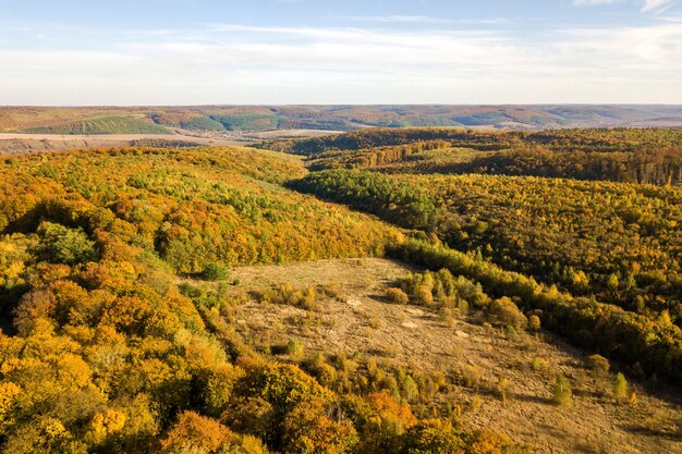 Vista aérea de arriba hacia abajo de las marquesinas verdes y amarillas en el bosque otoñal con muchos árboles frescos.