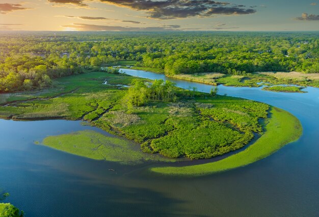 Vista aérea de arriba hacia abajo río grande y hermoso en bosque verde