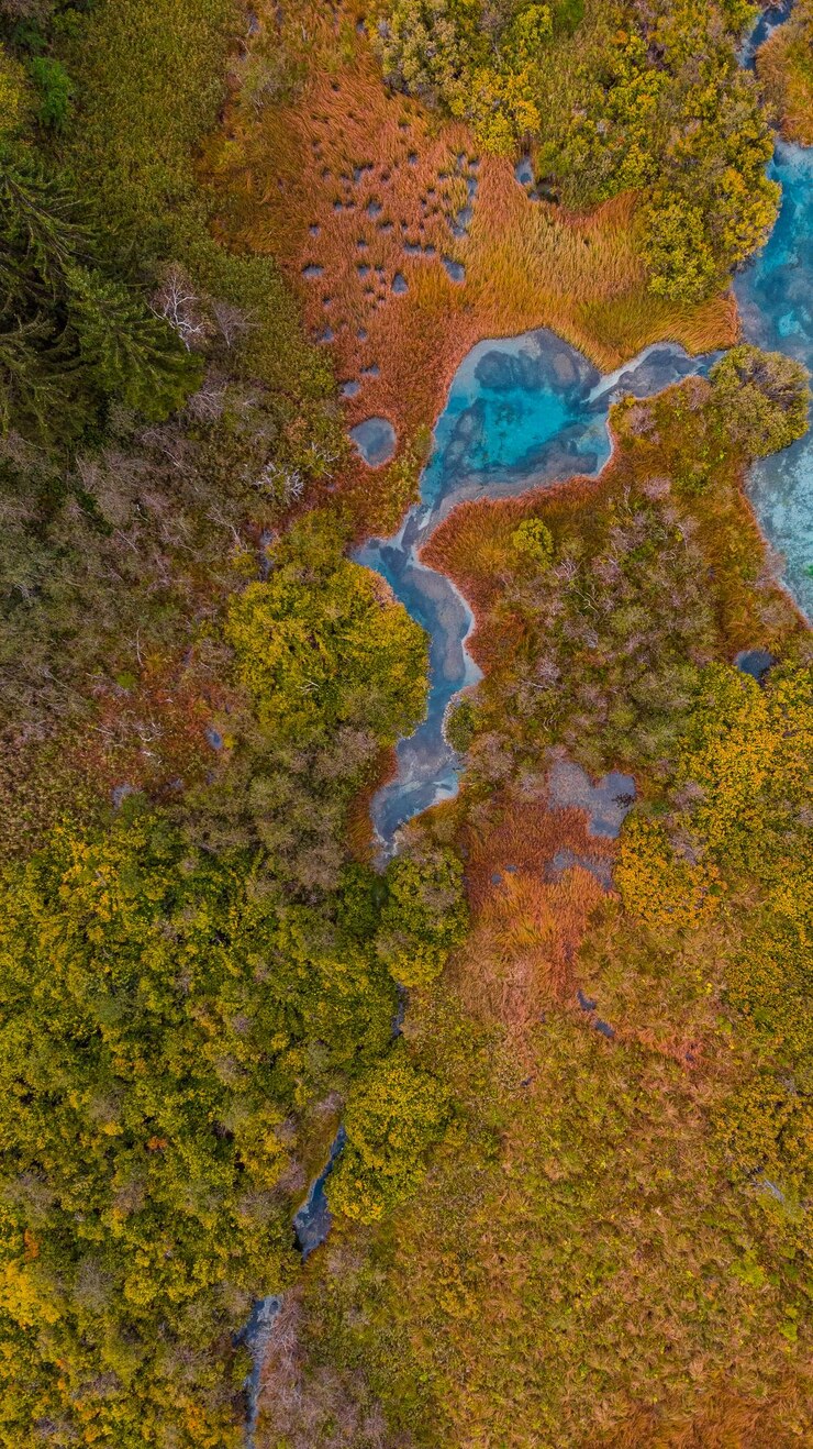 Vista aérea de arriba hacia abajo sobre el patrón natural surrealista Río Lago y follaje en otoño