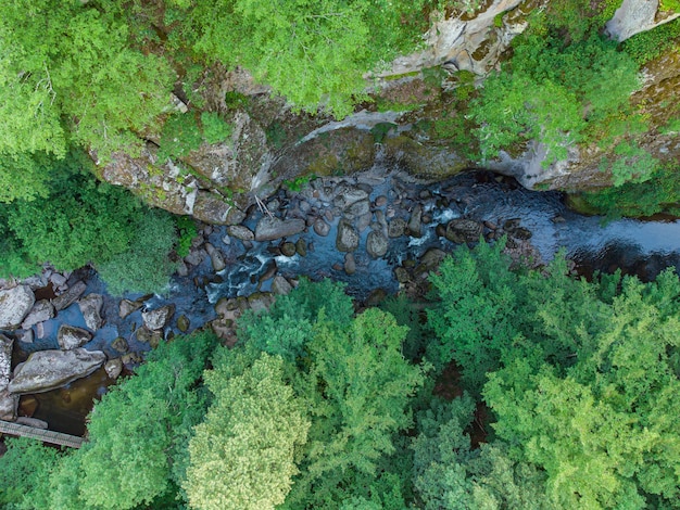 Vista aérea de un arroyo en el bosque en las montañas Ródope, cerca de la ciudad de Devin