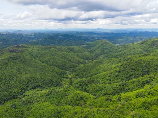 Vista aérea árvores florestais fundo selva natureza árvore verde na montanha vista de cima da floresta paisagem paisagem do rio no sudeste da Ásia tropical selvagem