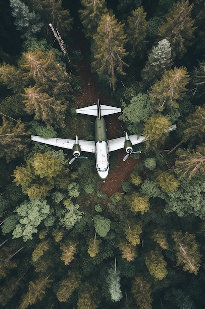 Vista aérea de un avión sobre el bosque