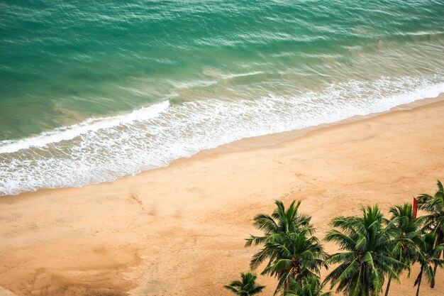 Vista aérea de la bahía marina con olas que se rompen en la playa de arena con palmeras