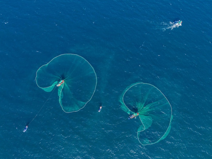 Foto vista aérea de un barco tradicional de madera y pescadores pescando anchoas en la isla de yen, provincia de phu yen, vietnam