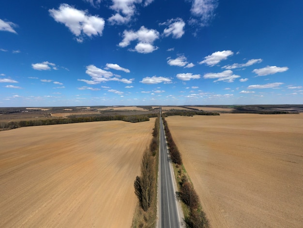 Vista aérea del bosque árido con camino en el medio