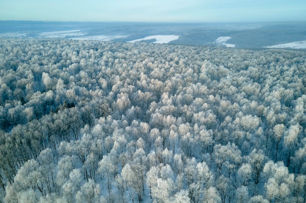 Vista aérea del bosque blanco cubierto de nieve con árboles congelados en invierno frío Denso bosque salvaje en invierno