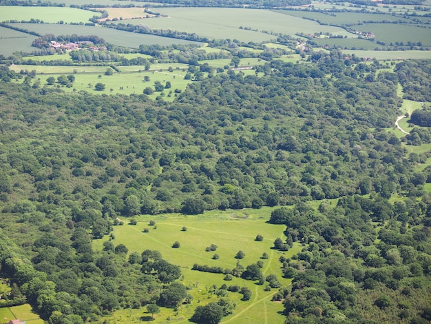 Vista aérea del bosque de Hatfield