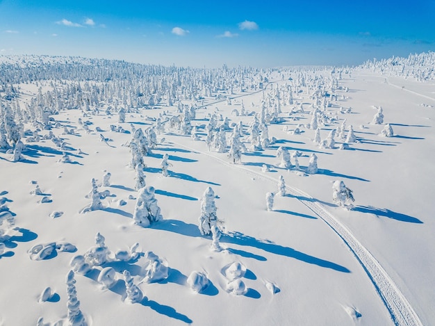 Vista aérea del bosque de invierno blanco con árboles cubiertos de nieve y camino rural en Finlandia Laponia