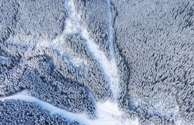 Vista aérea del bosque en invierno Paisaje natural de invierno desde el aire Bosque bajo la nieve en invierno Paisaje desde drone