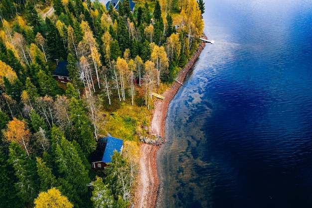 Vista aérea del bosque otoñal amarillo y naranja con cabaña y muelle de madera junto al lago azul en Finlandia