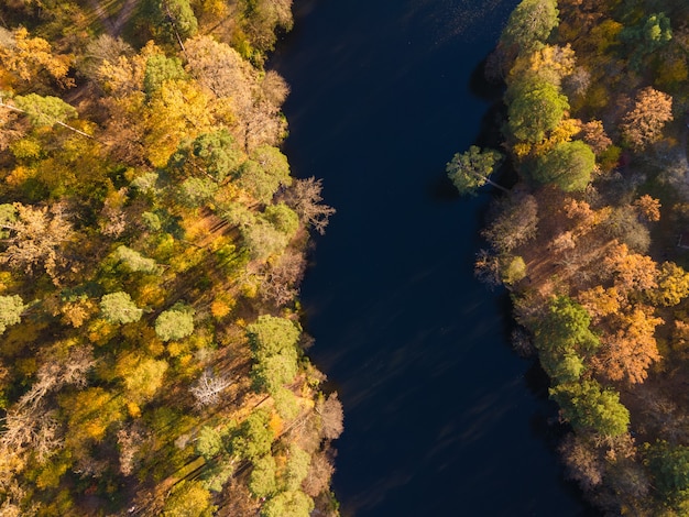 Vista aérea del bosque de otoño cerca del río por la tarde