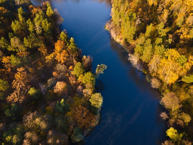 Vista aérea del bosque de otoño cerca del río por la tarde