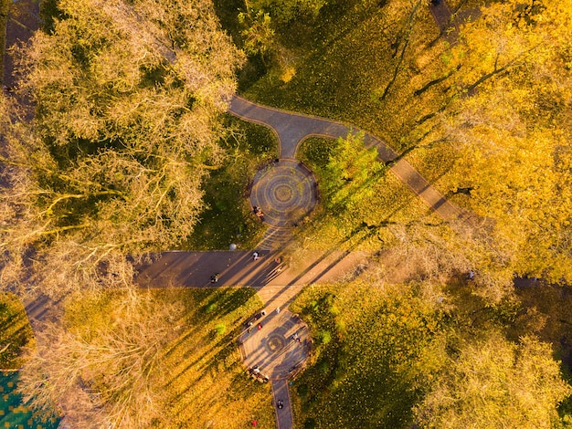 Foto vista aérea del bosque de otoño cerca del río por la tarde