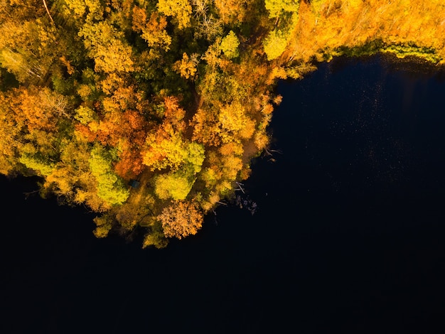 Vista aérea del bosque de otoño cerca del río por la tarde